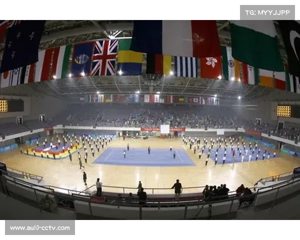 国家奥林匹克体育中心承办北京站赛事 助力体育文化发展与推广